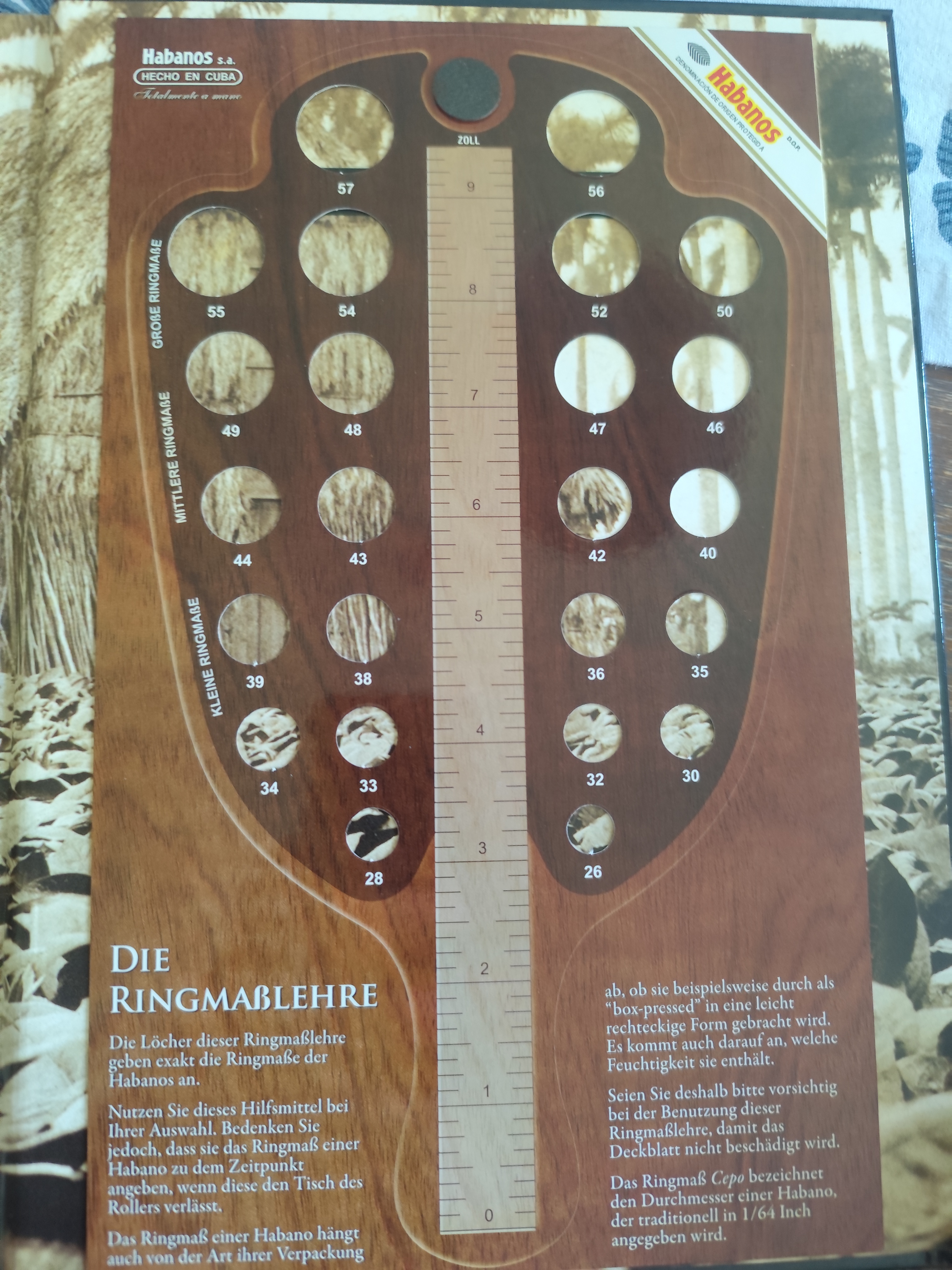 Ringmaß Messgerät.jpg
