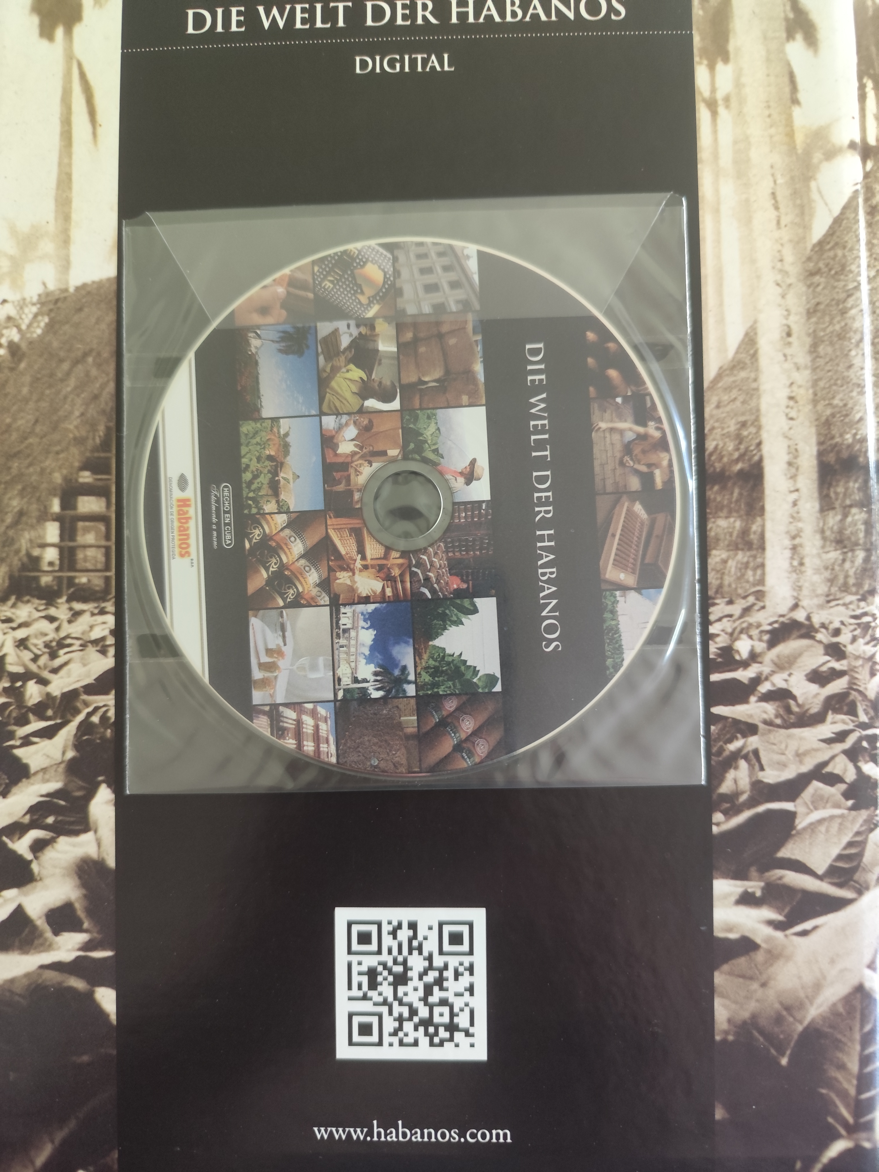 CD Rom.jpg
