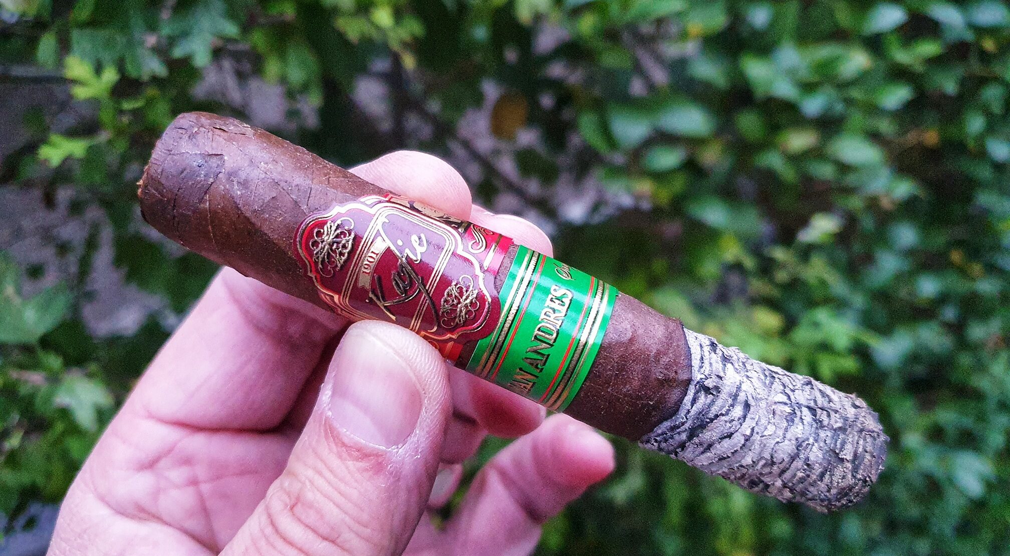Kafie 1901 Cigars San Andres – Kräftig, gut mit Luft nach oben