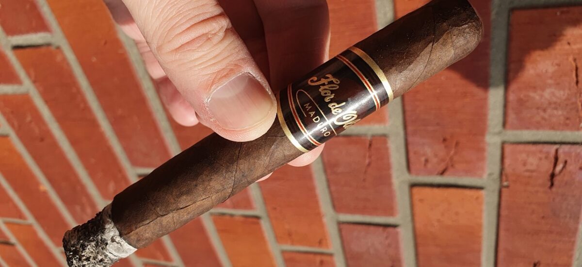 Flor de Oliva Maduro Toro: Die Maduro, die erst spät auftaut