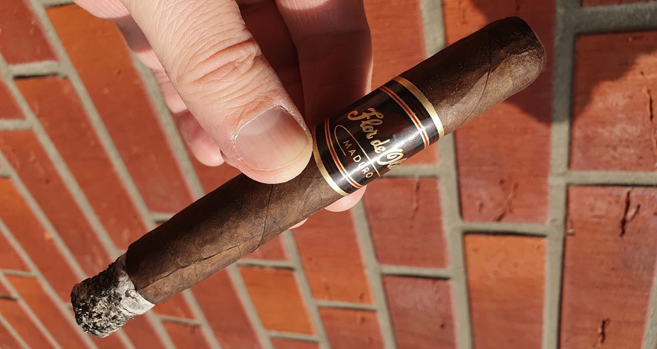 Flor de Oliva Maduro Toro: Die Maduro, die erst spät auftaut