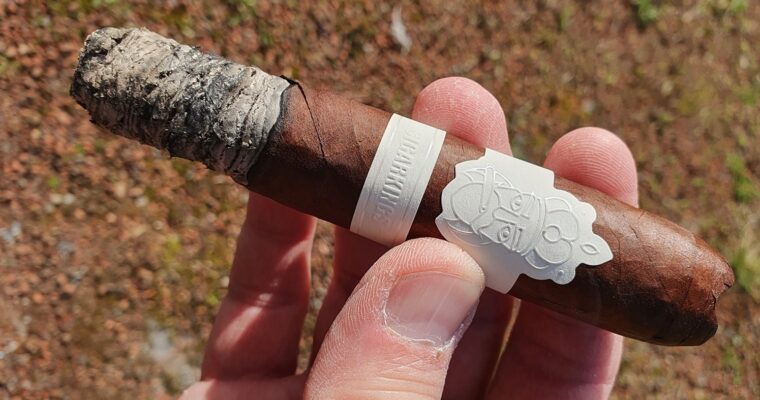 Die große weiße Versuchung – CigarKings Wide White im Test