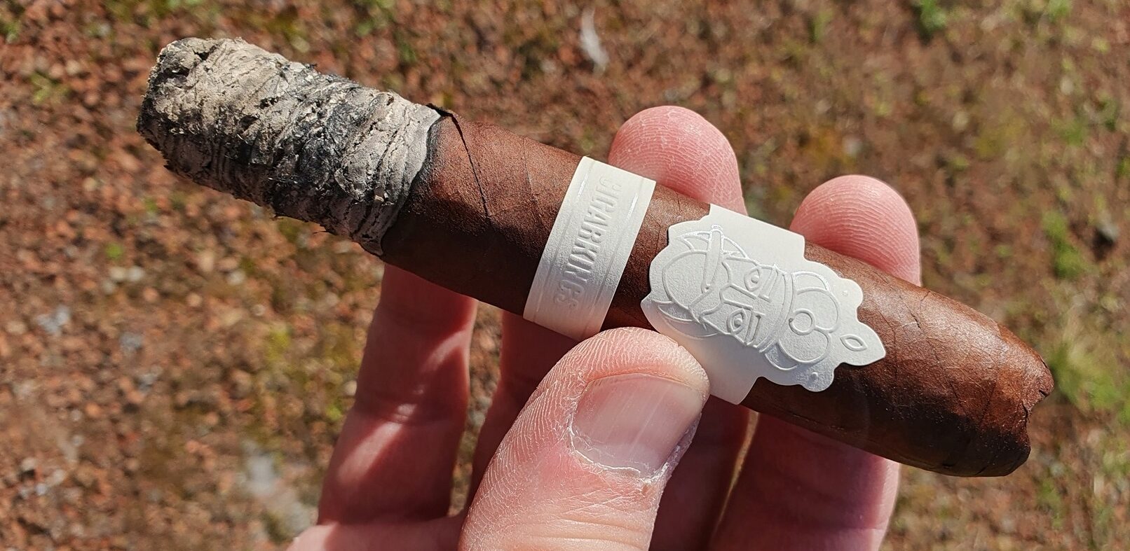 Die große weiße Versuchung – CigarKings Wide White im Test